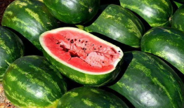 吃瓜娱乐圈素材图片高清,高清素材揭秘明星幕后生活