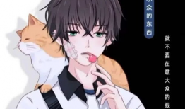 我的男孩漫画,少年逐梦之旅