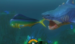 一线吃瓜娱乐圈海底见月,一线“吃瓜”达人海底探月奇遇记