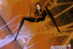 蜘蛛精漫画,奇幻世界中的神秘冒险